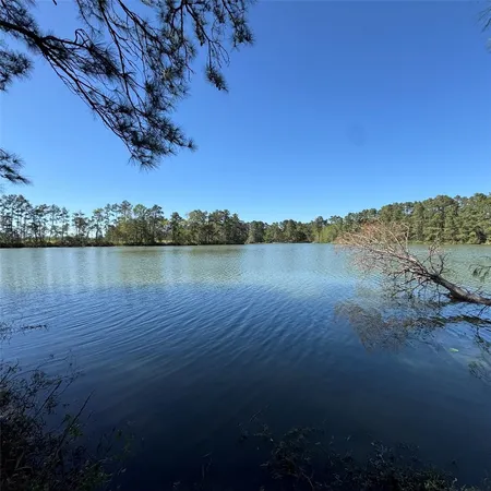 a view of a lake with houses in the back