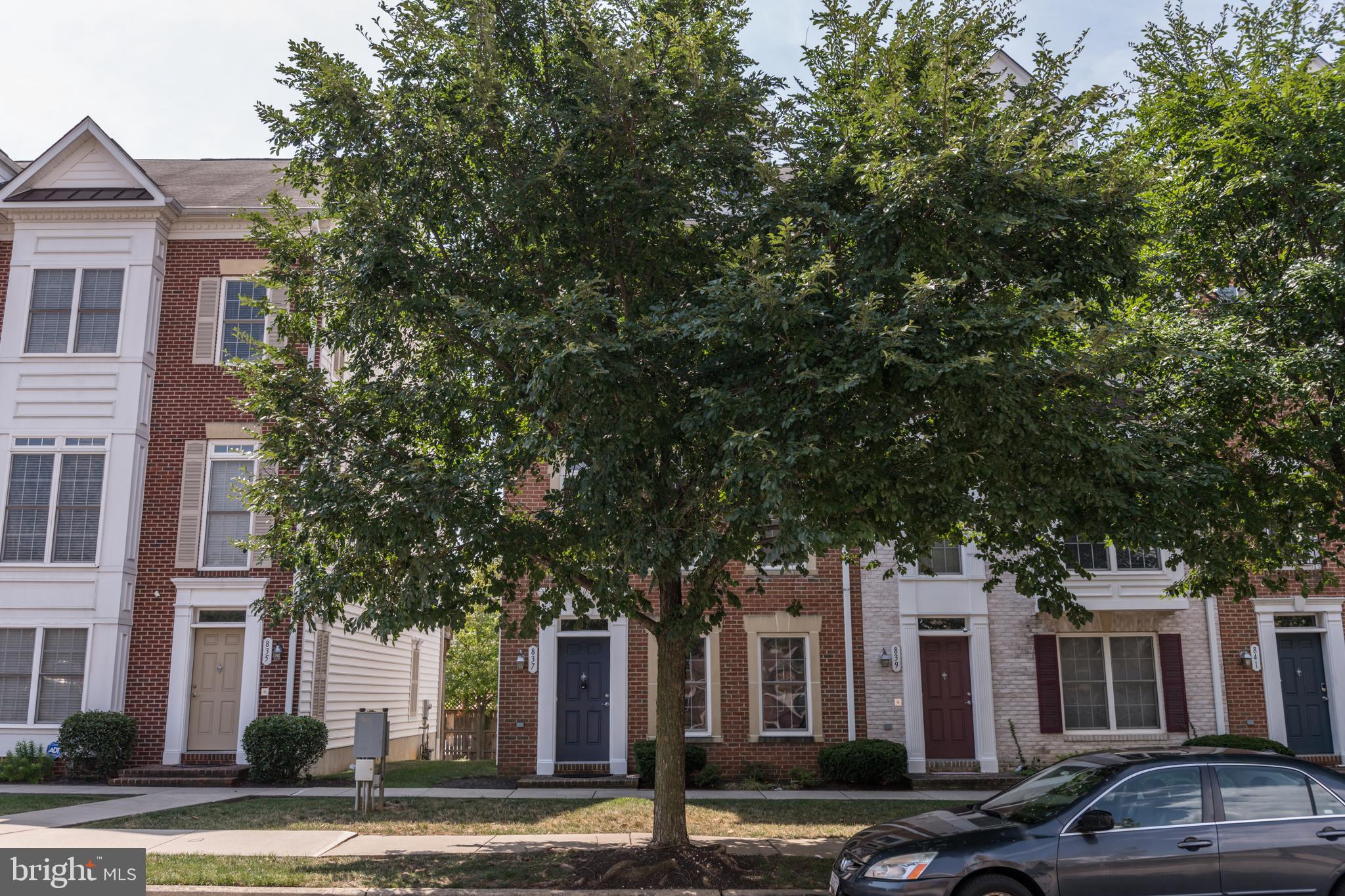 837 Ramsay Street Baltimore, MD 21230 - Photo 6 of 48 Gallery Image 6