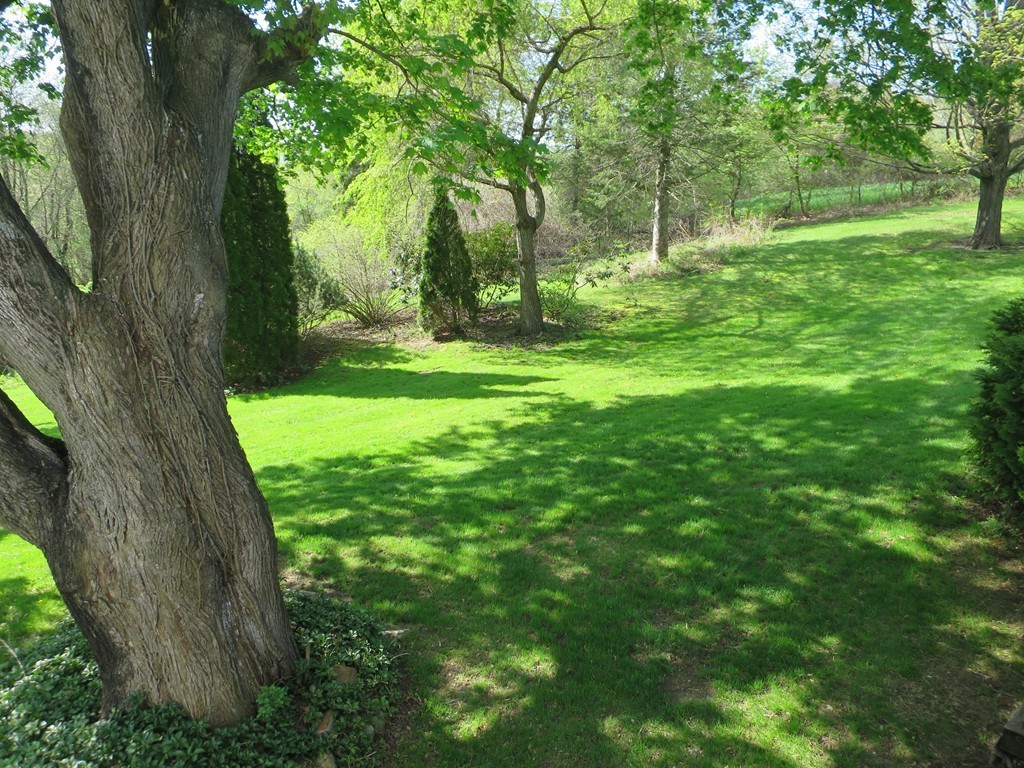 117 Stebbins Road Monson, MA 01057 - Photo 26 of 27 a view of outdoor space with deck and trees