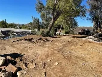 a view of a yard with a tree