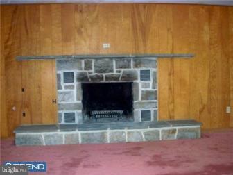 1315 Alsace Road Reading, PA 19604 - Photo 3 of 12 Fireplace