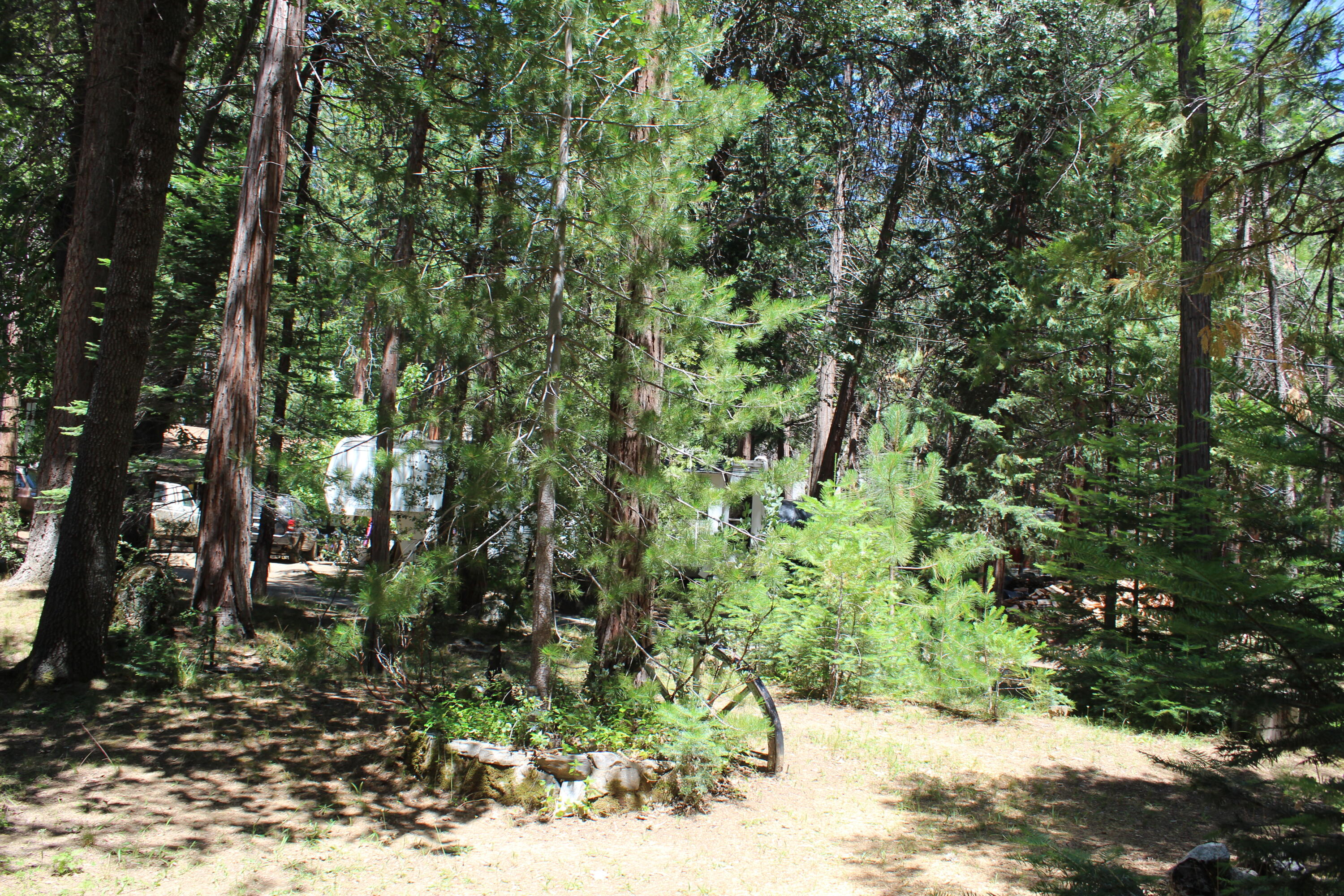 565 Trail End Drive Springville, CA 93265 - Photo 43 of 58 IMG_9594