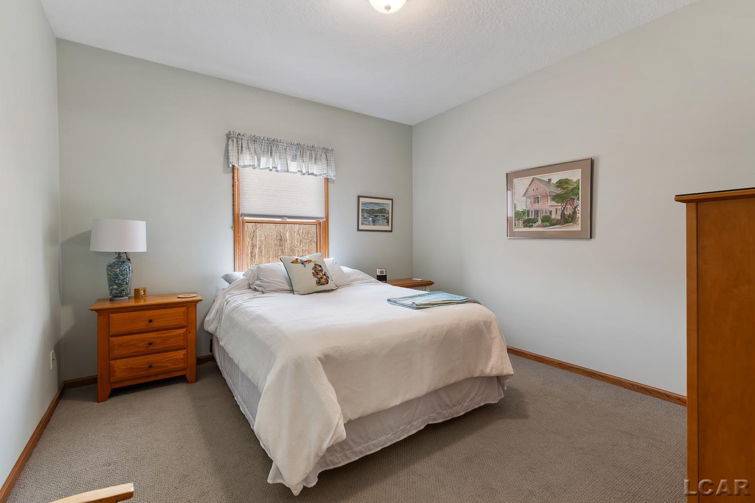 4250 Evergreen Road Adrian, MI 49221 - Photo 18 of 59