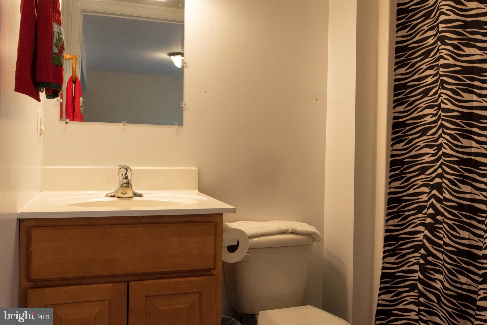 622 Running Fox Road Lusby, MD 20657 - Photo 19 of 46 Lower level full bath