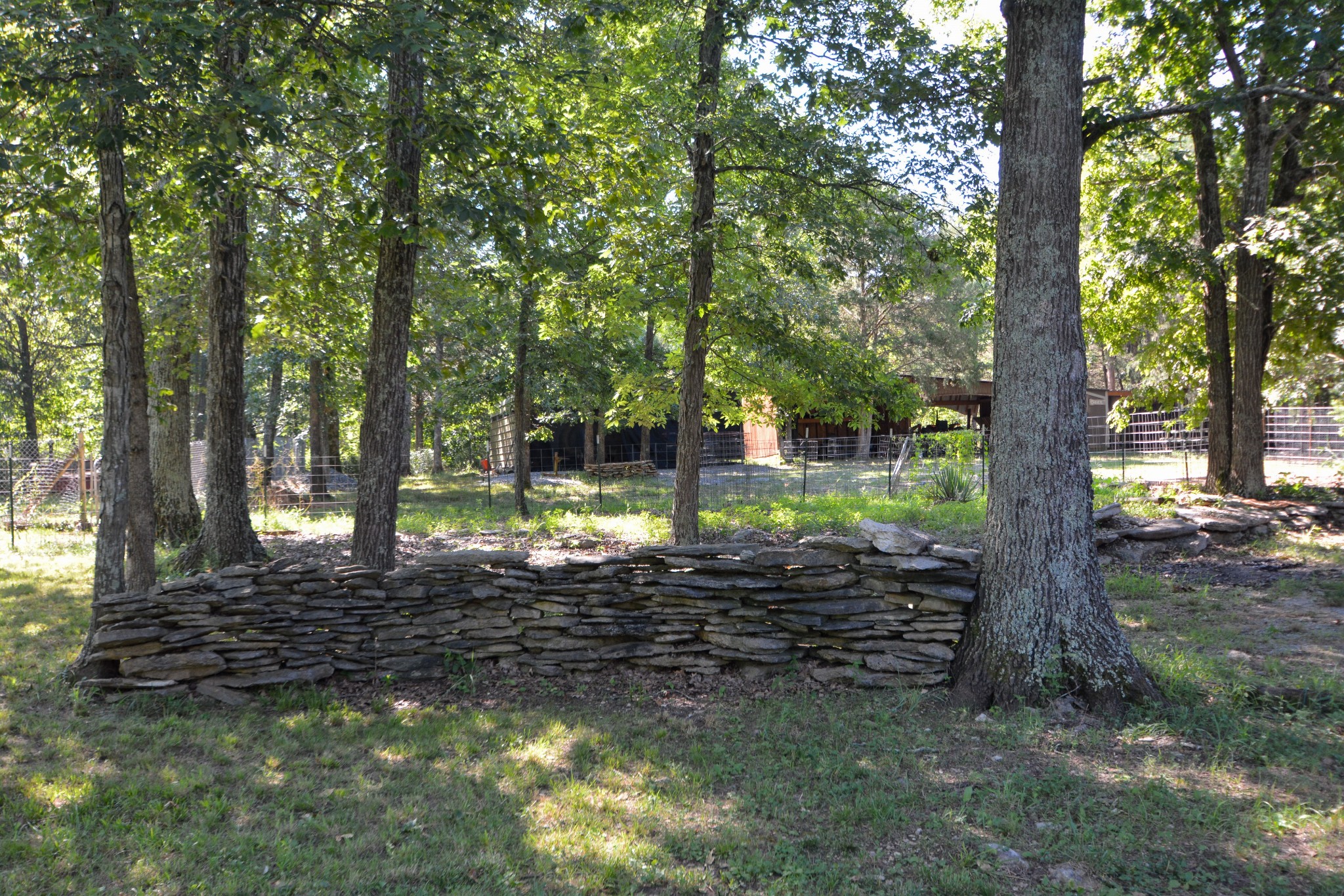 952 Cranor Road Murfreesboro, TN 37130 - Photo 37 of 43 Gallery Image 37