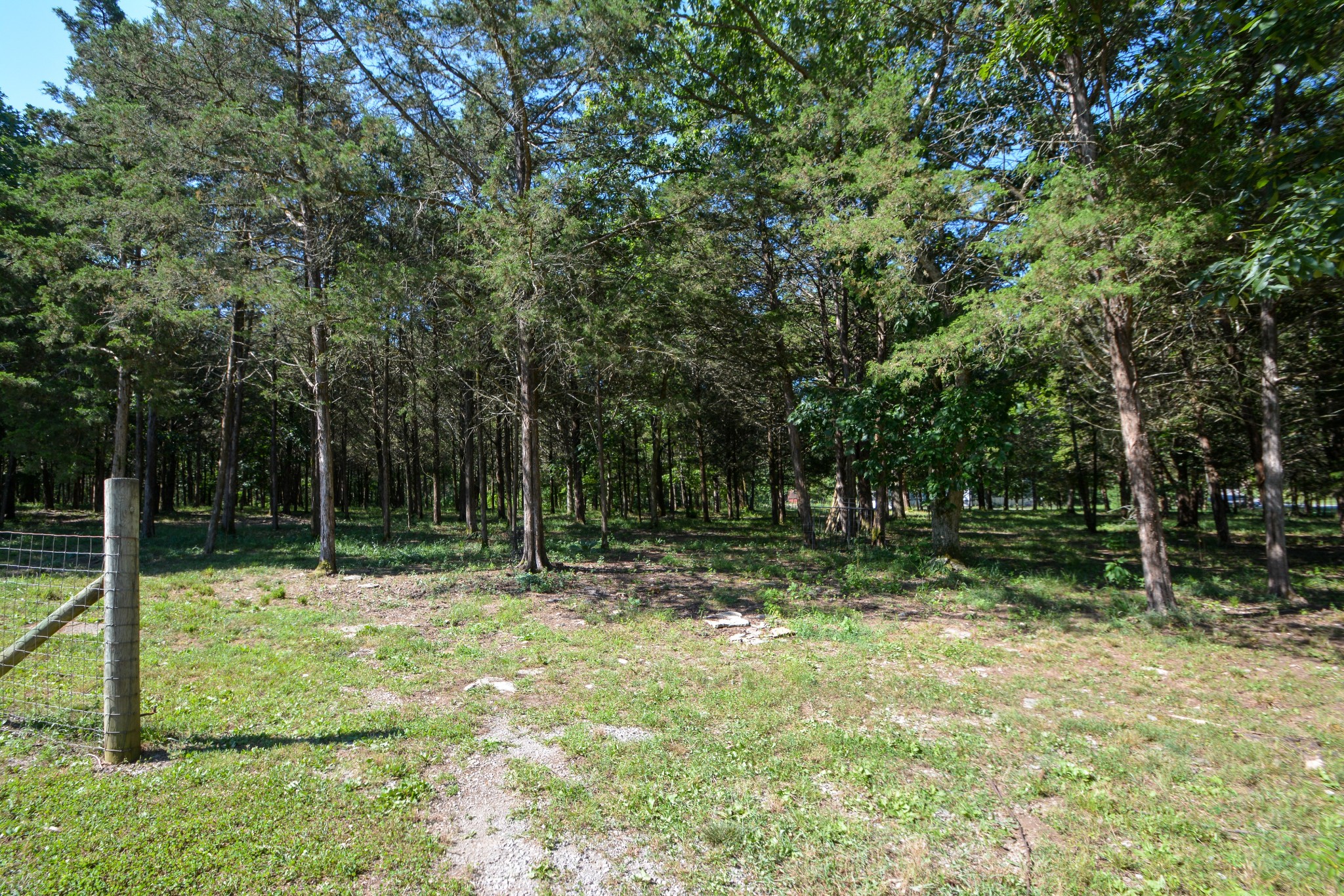 952 Cranor Road Murfreesboro, TN 37130 - Photo 38 of 43 Gallery Image 38