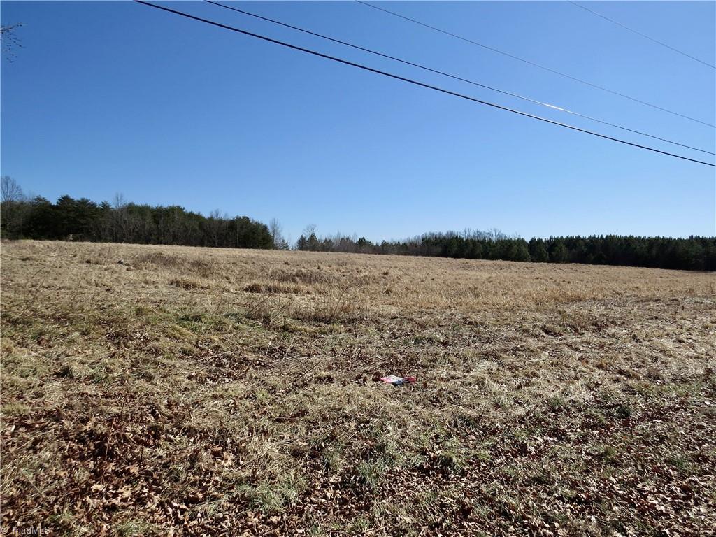 333 Haw Road Browns Summit, NC 27214 - Photo 13 of 44 Field 1 additional view