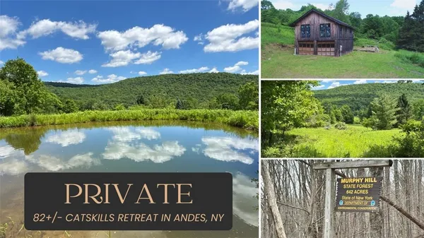 $398,000 | 2613 Murphy Hill Road, Andes, NY 13731