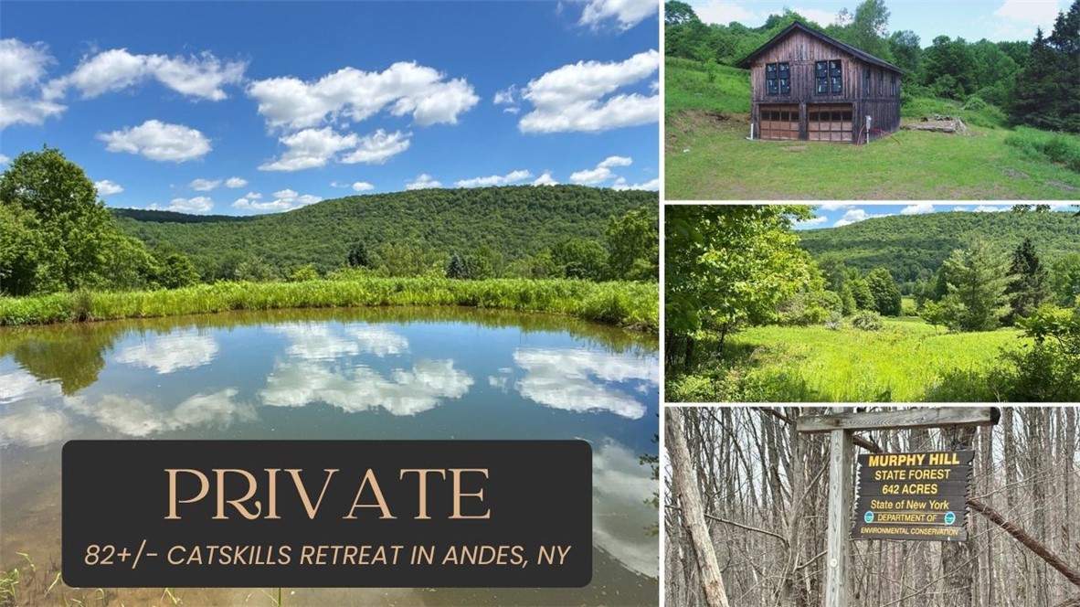 2613 Murphy Hill Road Andes, NY 13731 - Photo 1 of 35