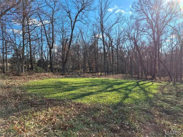 $172,000 | 0 County Road 197, Montgomery City, MO 63361