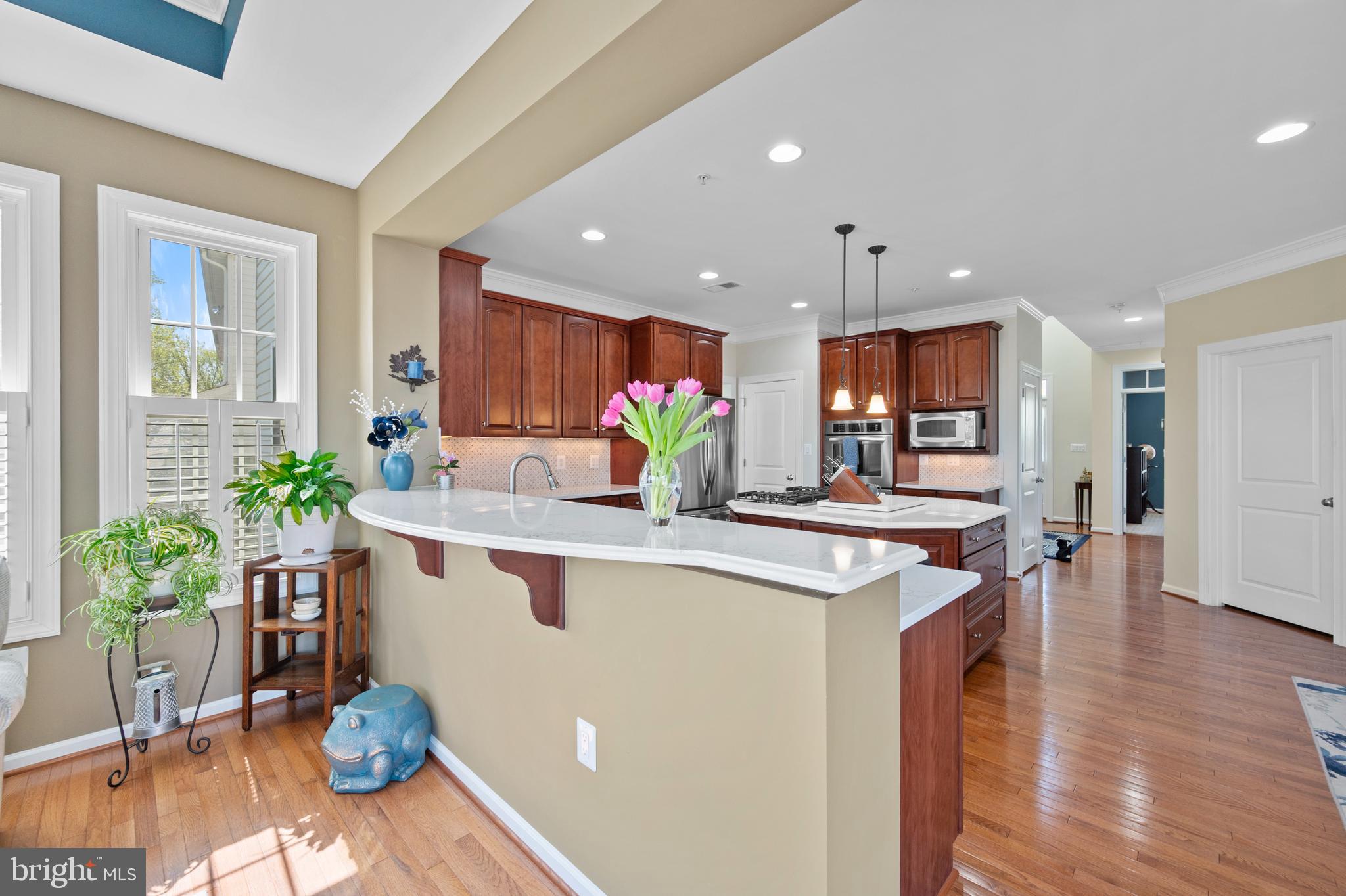 13212 Moonlight Trail Drive Silver Spring, MD 20906 - Photo 18 of 81 Bright kitchen