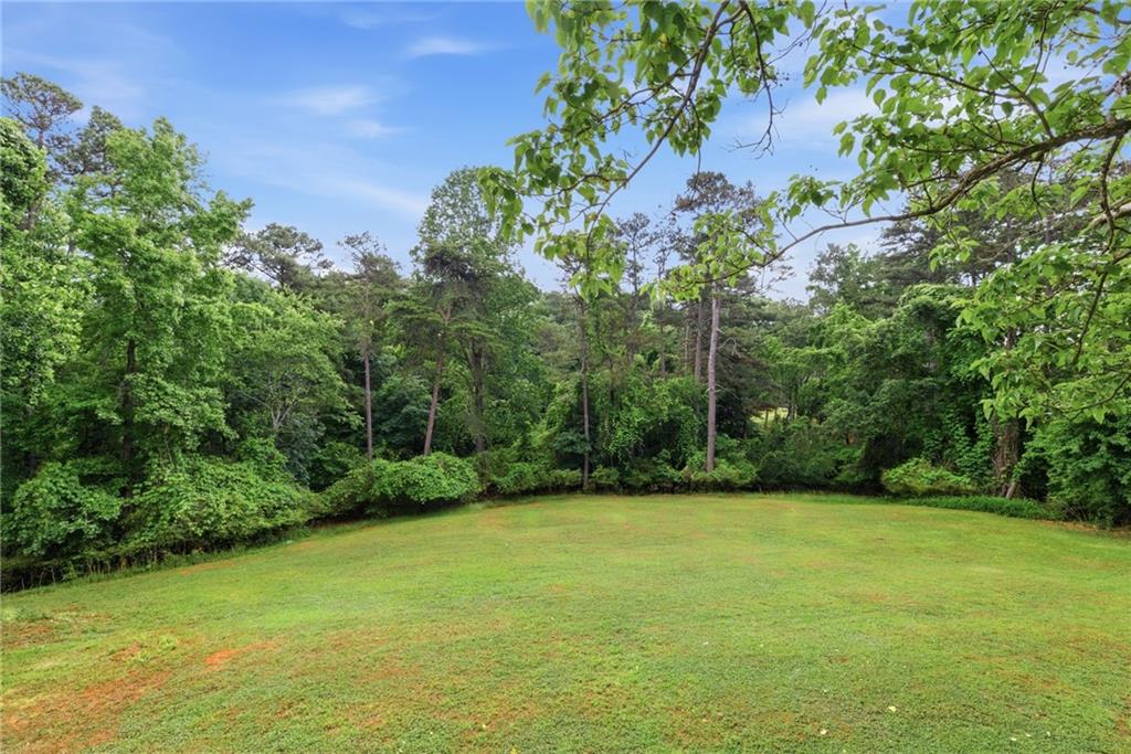 4337 Mountain View Road Oakwood, GA 30566 - Photo 61 of 84 a view of a yard with a tree