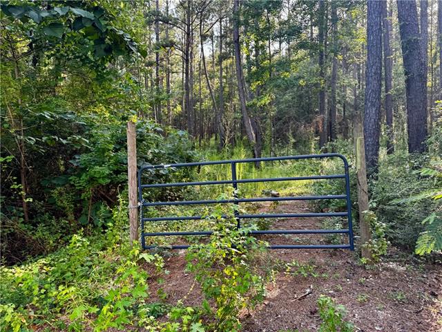 3 Ward Line Road Bogalusa, LA 70427 - Photo 11 of 12