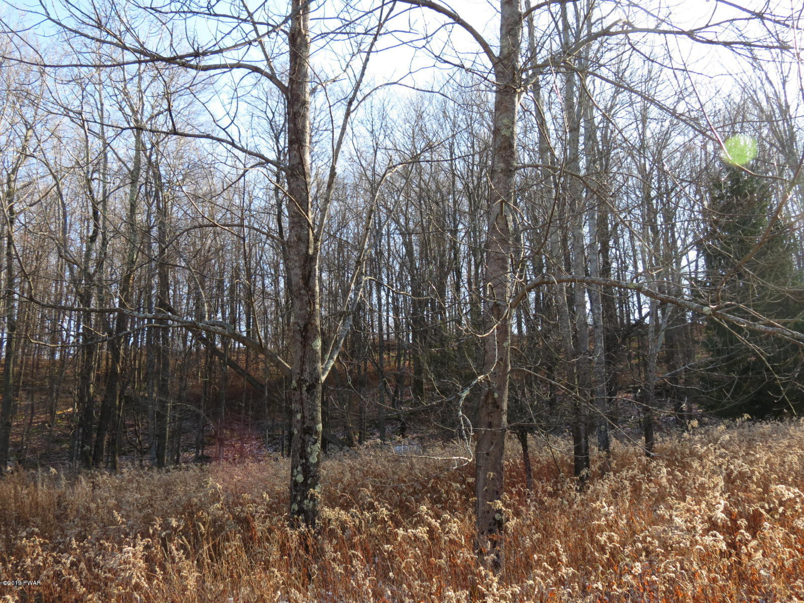 146 Mountain Vw Road Newfoundland, PA 18445 - Photo 7 of 13