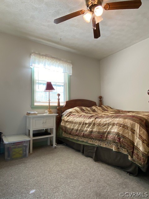214 Beachcliff Road Blackstone, VA 23824 - Photo 33 of 40 Gallery Image 33
