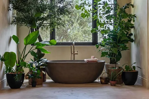 a view of a small pool with potted plants
