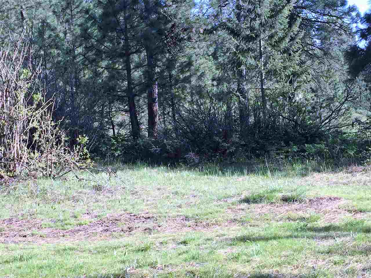 Xy South Chester Creek Road Spokane, WA 99206 - Photo 11 of 18 Gallery Image 11