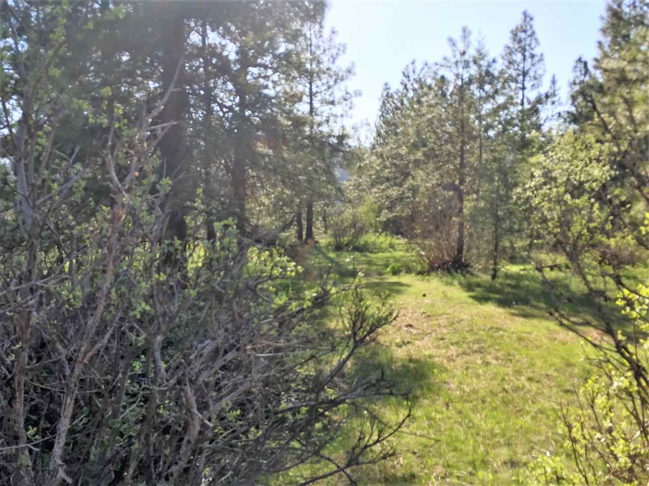 Xy South Chester Creek Road Spokane, WA 99206 - Photo 13 of 18 Gallery Image 13