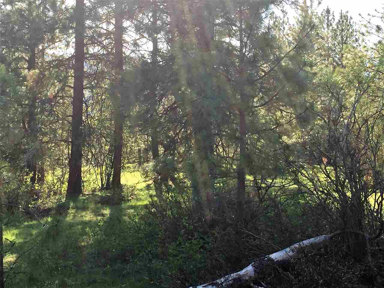 Xy South Chester Creek Road Spokane, WA 99206 - Photo 14 of 18 Gallery Image 14