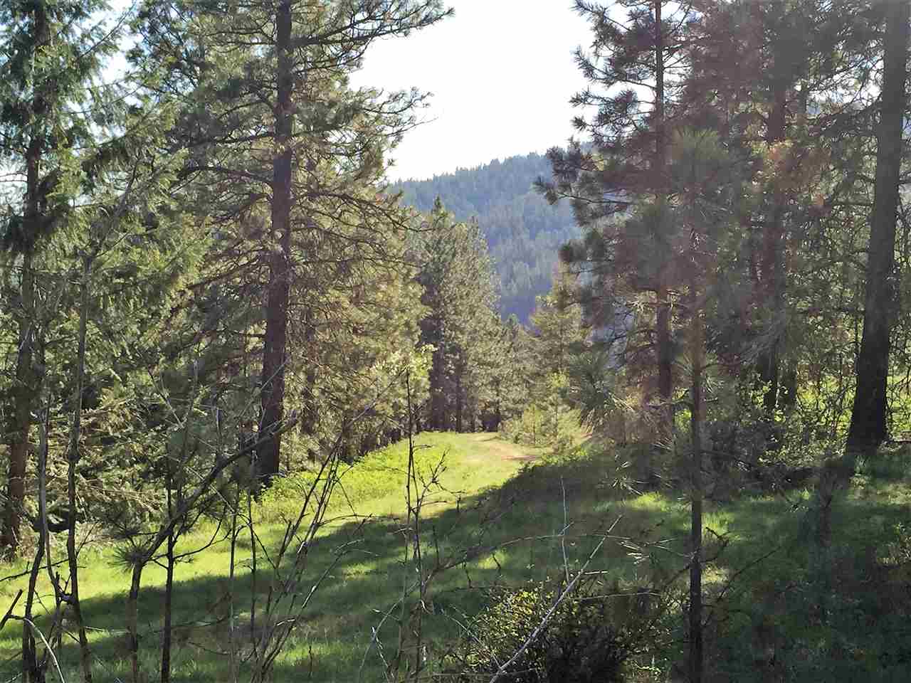 Xy South Chester Creek Road Spokane, WA 99206 - Photo 15 of 18 Gallery Image 15