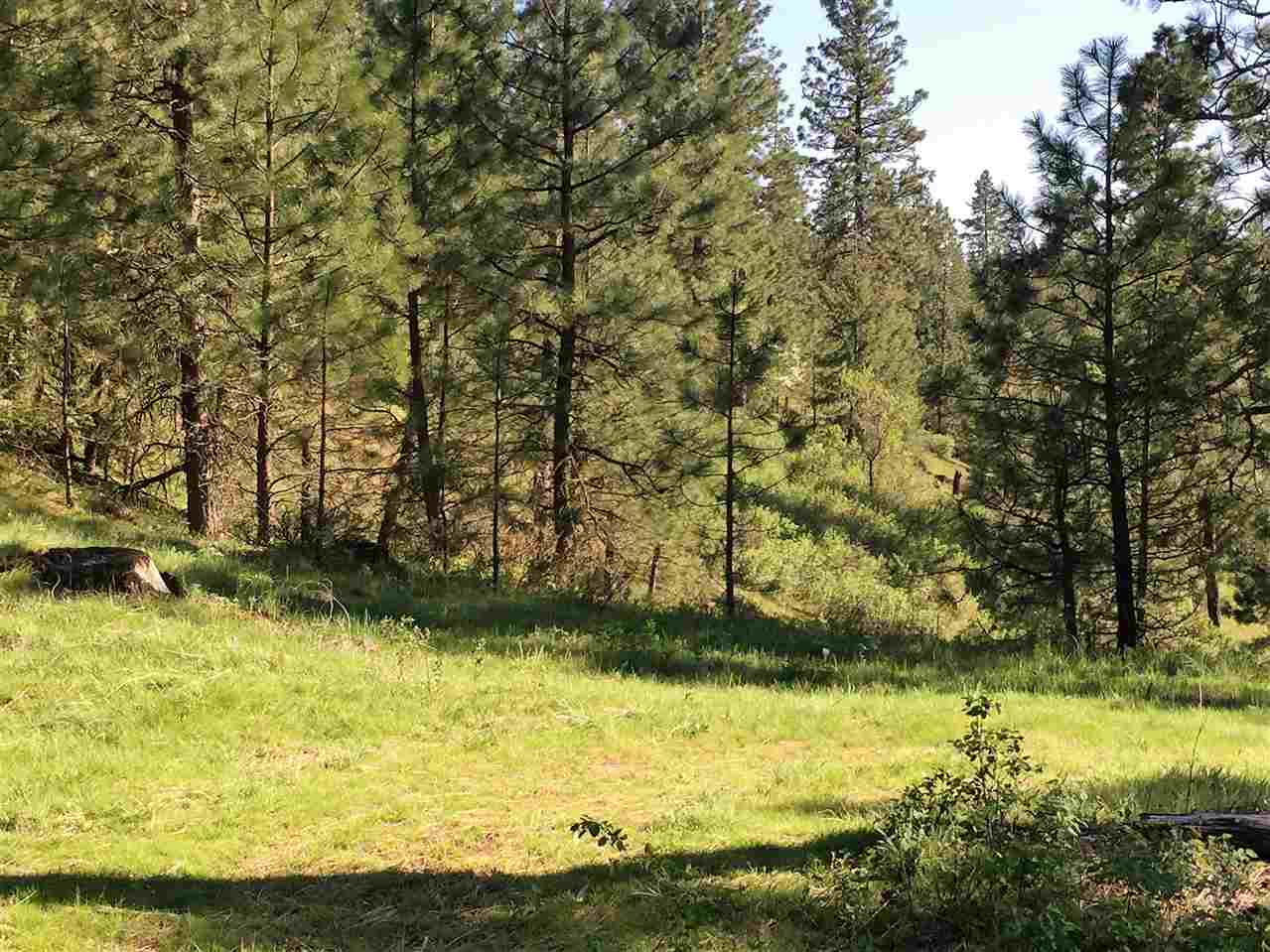 Xy South Chester Creek Road Spokane, WA 99206 - Photo 16 of 18 Gallery Image 16