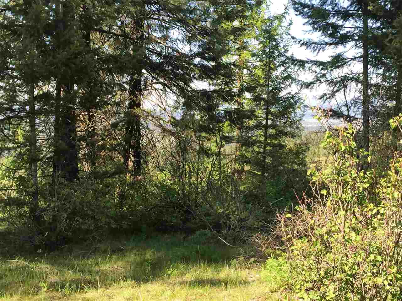 Xy South Chester Creek Road Spokane, WA 99206 - Photo 17 of 18 Gallery Image 17