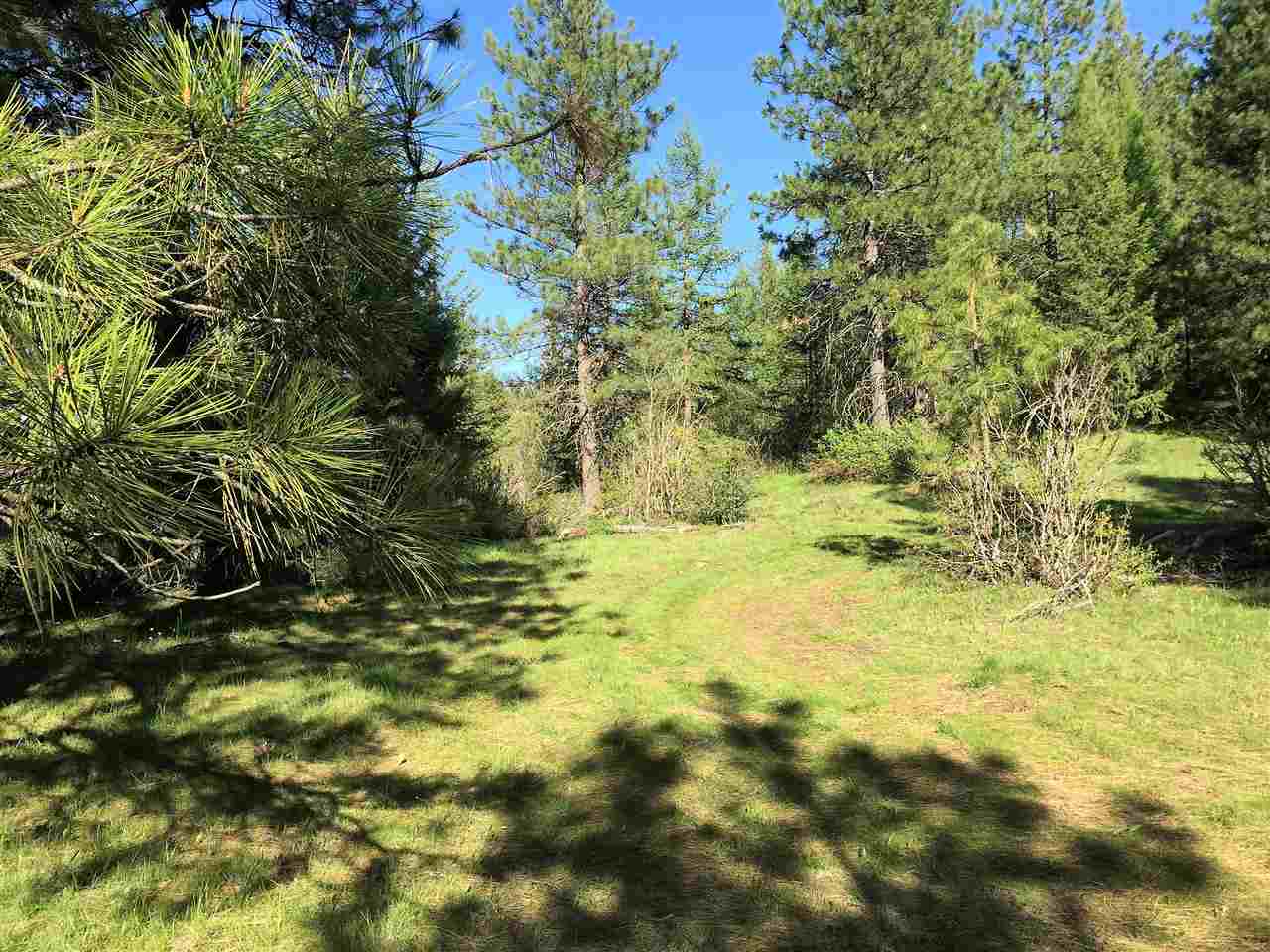Xy South Chester Creek Road Spokane, WA 99206 - Photo 6 of 18 Gallery Image 6