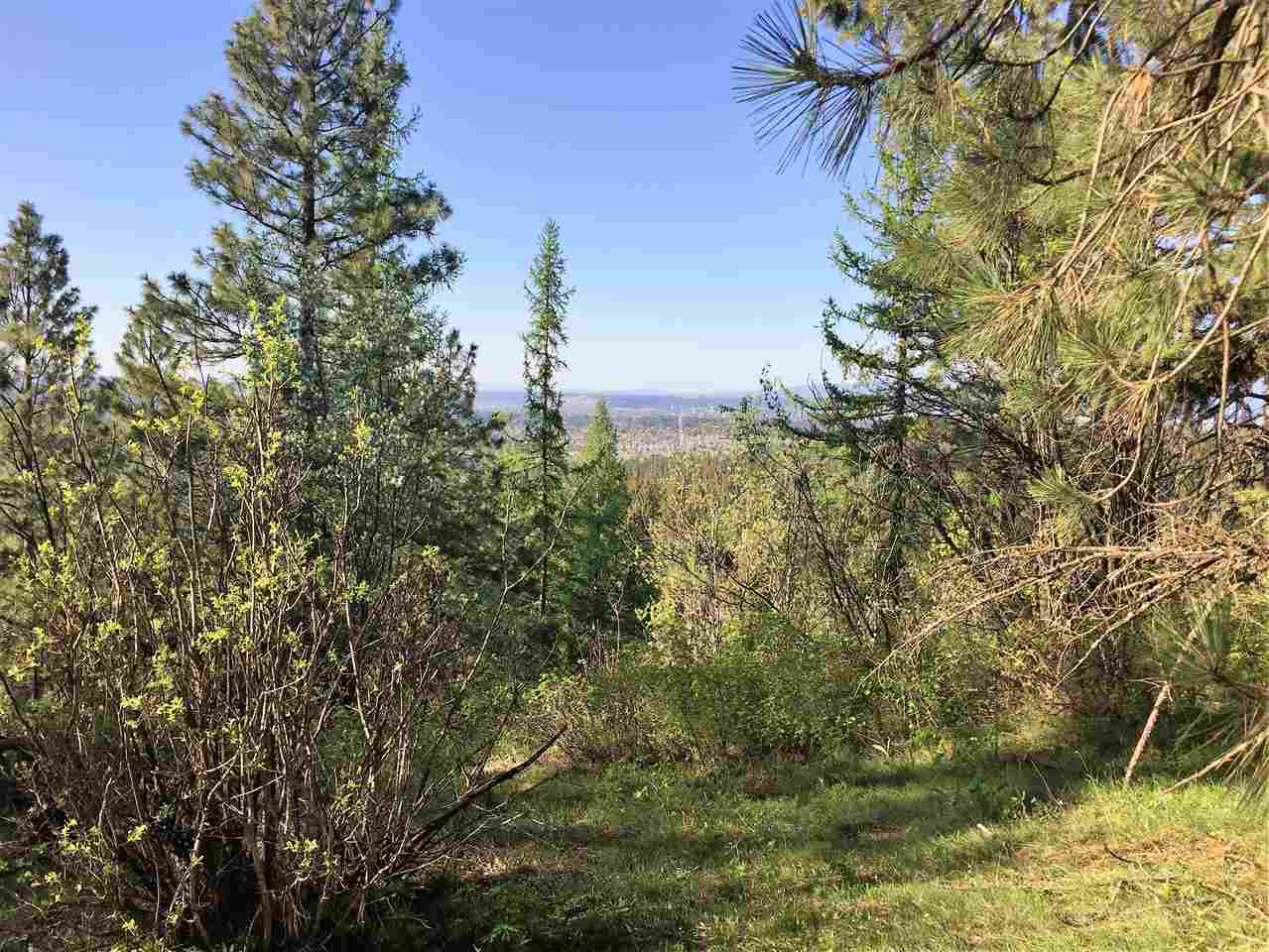 Xy South Chester Creek Road Spokane, WA 99206 - Photo 7 of 18 Gallery Image 7