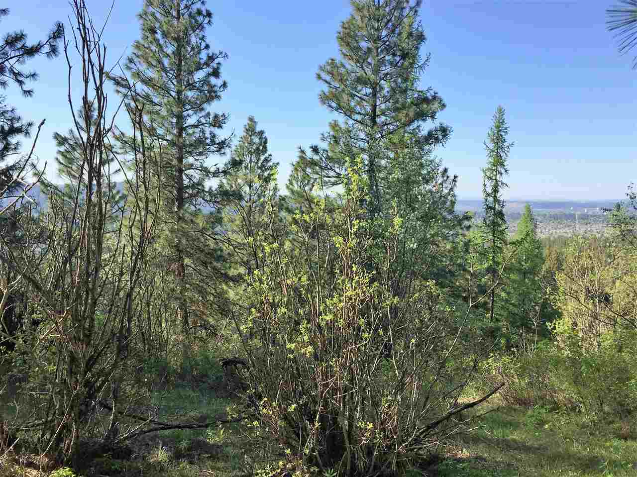 Xy South Chester Creek Road Spokane, WA 99206 - Photo 8 of 18 Gallery Image 8