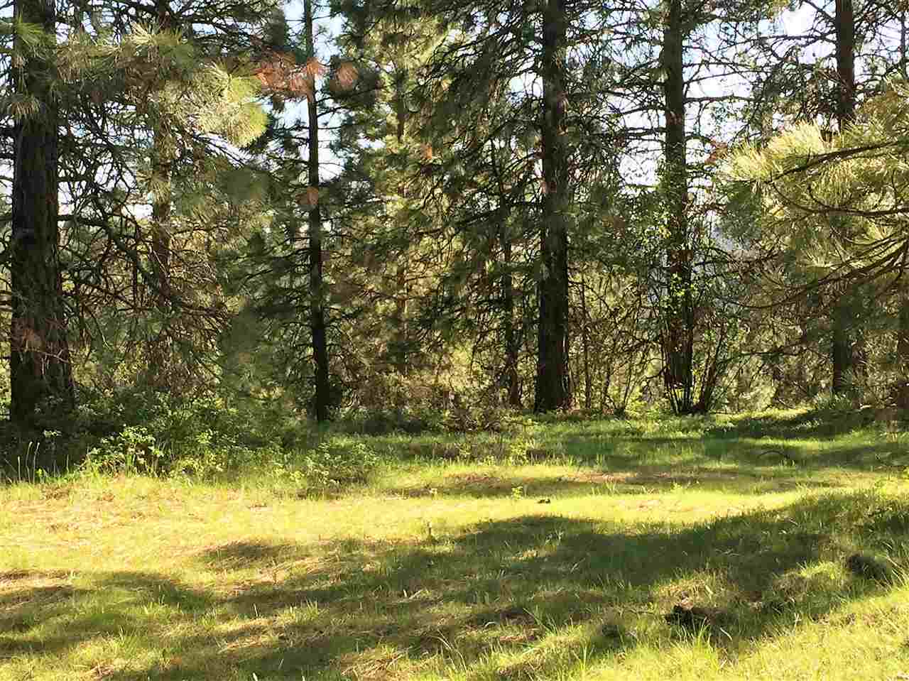 Xy South Chester Creek Road Spokane, WA 99206 - Photo 10 of 18 Gallery Image 10