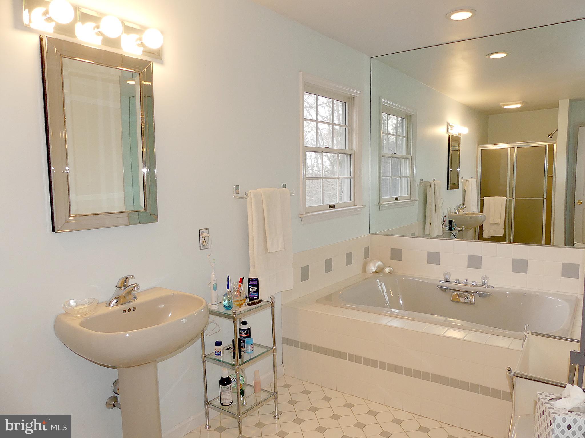 24 Fawn Drive Reading, PA 19607 - Photo 35 of 47 Master Bathroom