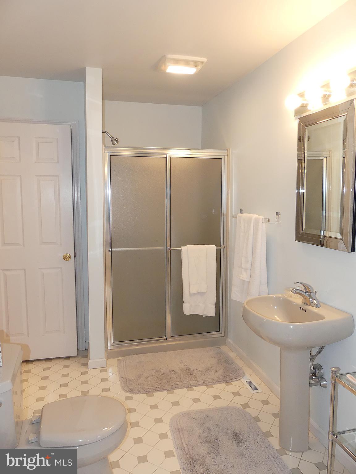 24 Fawn Drive Reading, PA 19607 - Photo 36 of 47 Master Bathroom