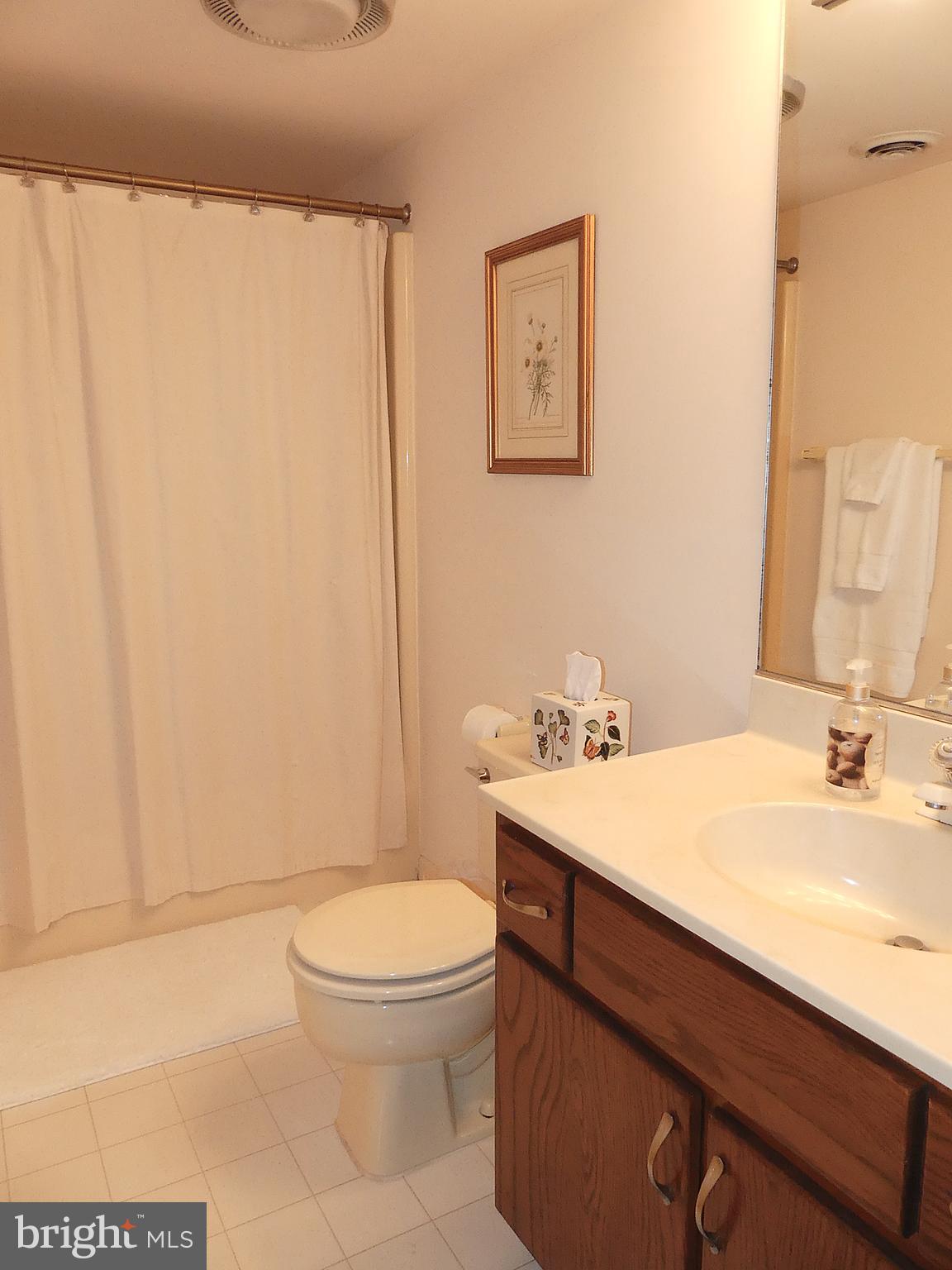 24 Fawn Drive Reading, PA 19607 - Photo 47 of 47 Finished Lower Level - Bathroom
