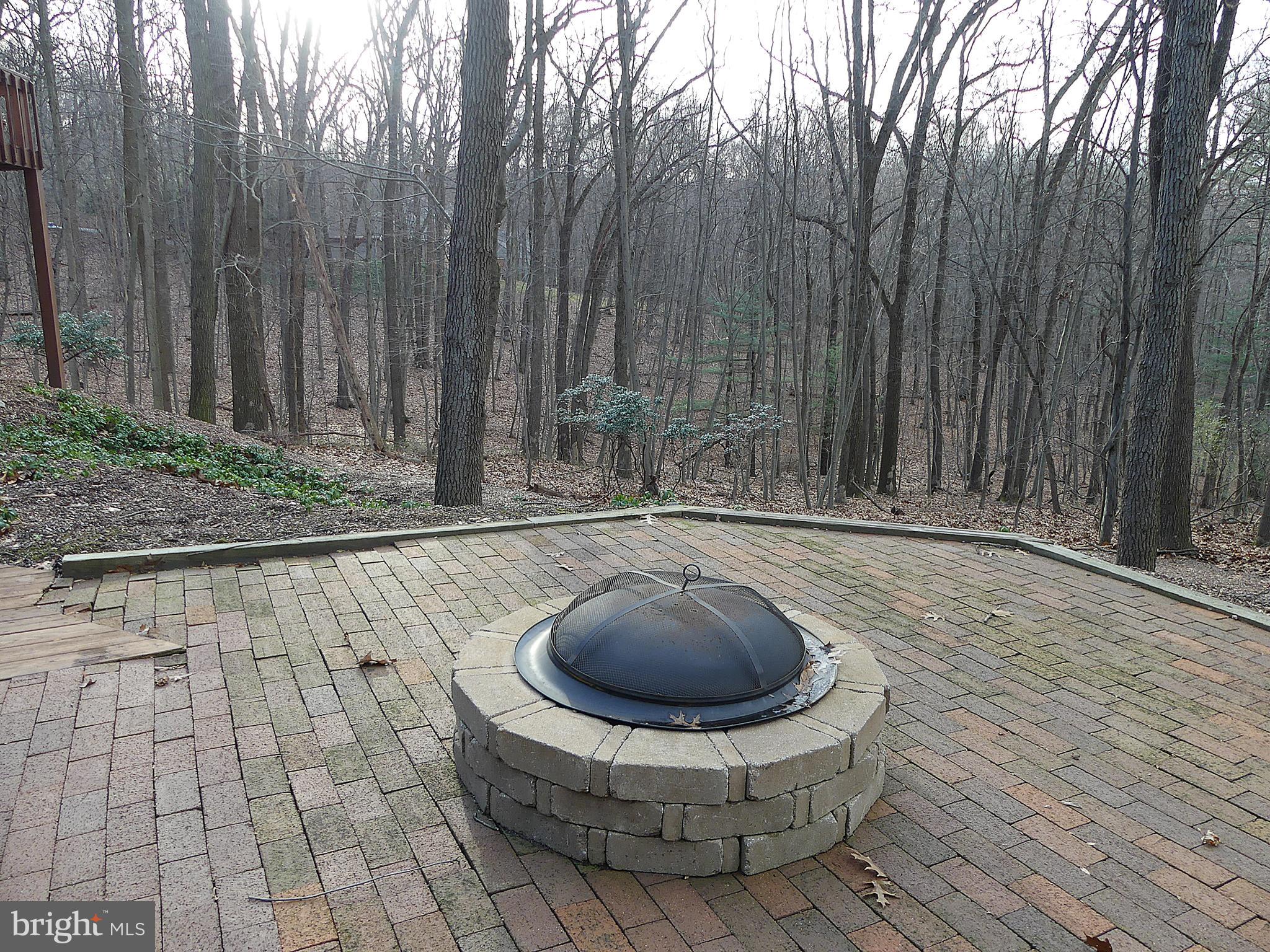 24 Fawn Drive Reading, PA 19607 - Photo 6 of 47 Firepit