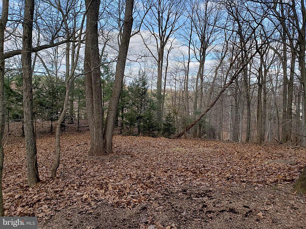 24 Fawn Drive Reading, PA 19607 - Photo 8 of 47 Rear View