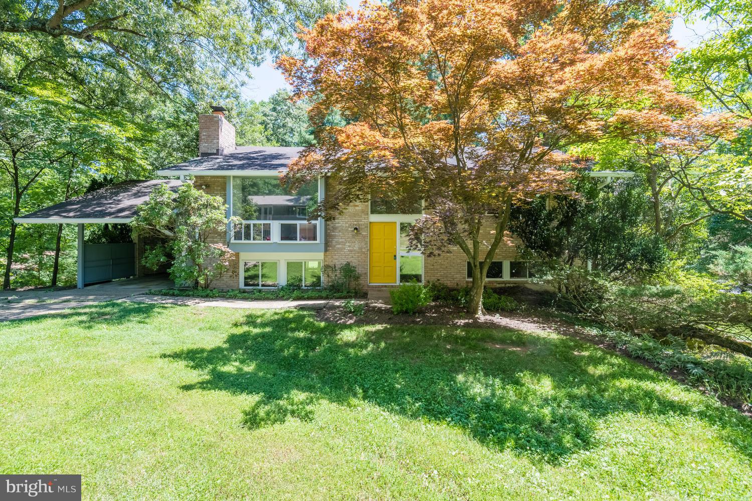 6805 Persimmon Tree Road Bethesda, MD 20817 - Photo 1 of 30 a backyard of a house with plants and large tree
