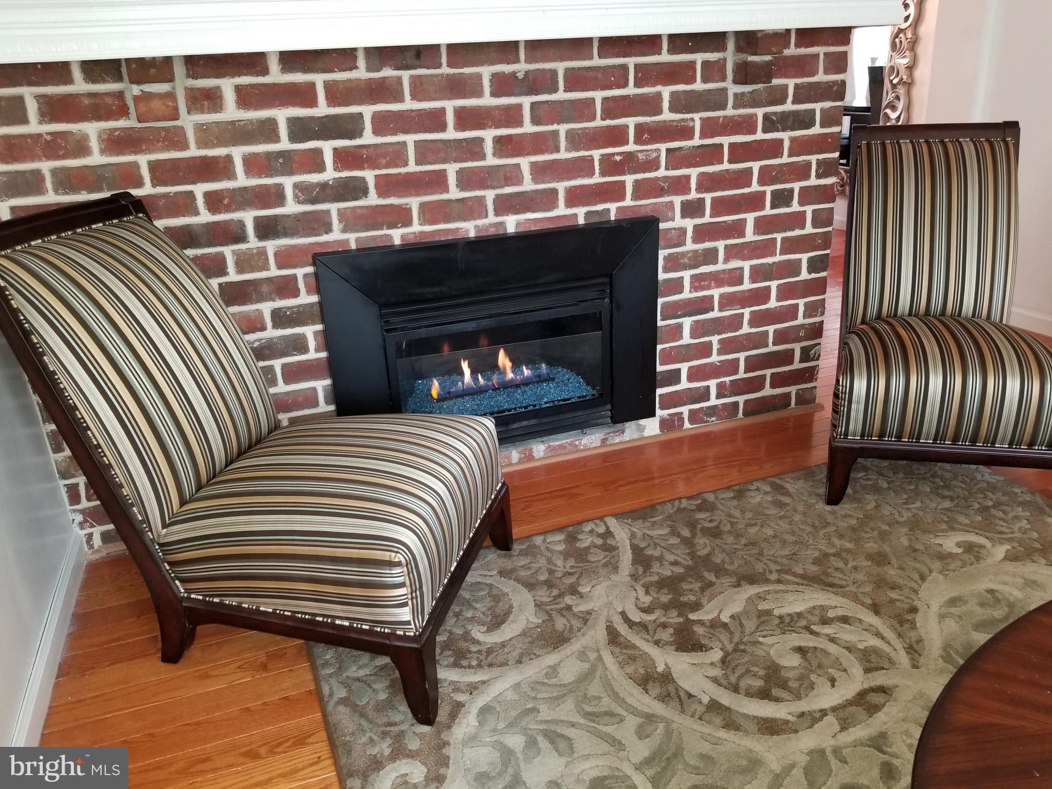 229 East Claremont Road Philadelphia, PA 19120 - Photo 11 of 66 Gas Fireplace