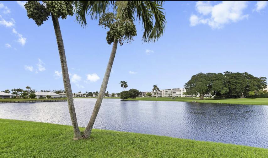 233 Rio Vista Circle, Unit 233 Atlantis, FL 33462 - Photo 29 of 33 backyard