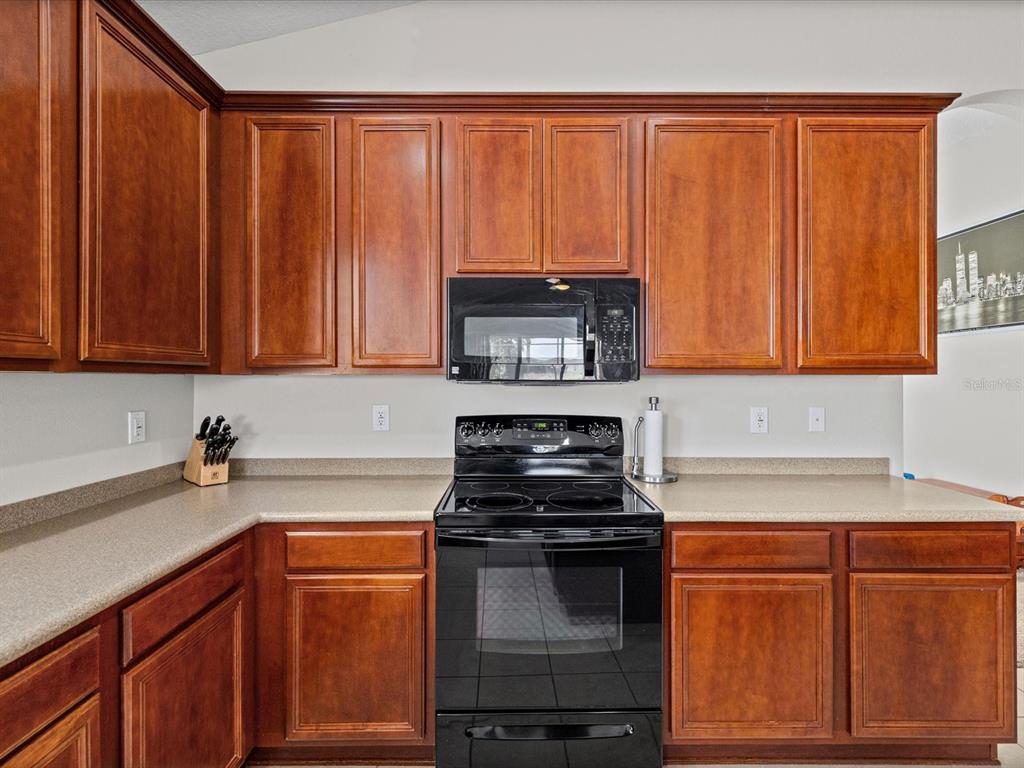 13744 Trull Way Hudson, FL 34669 - Photo 28 of 76