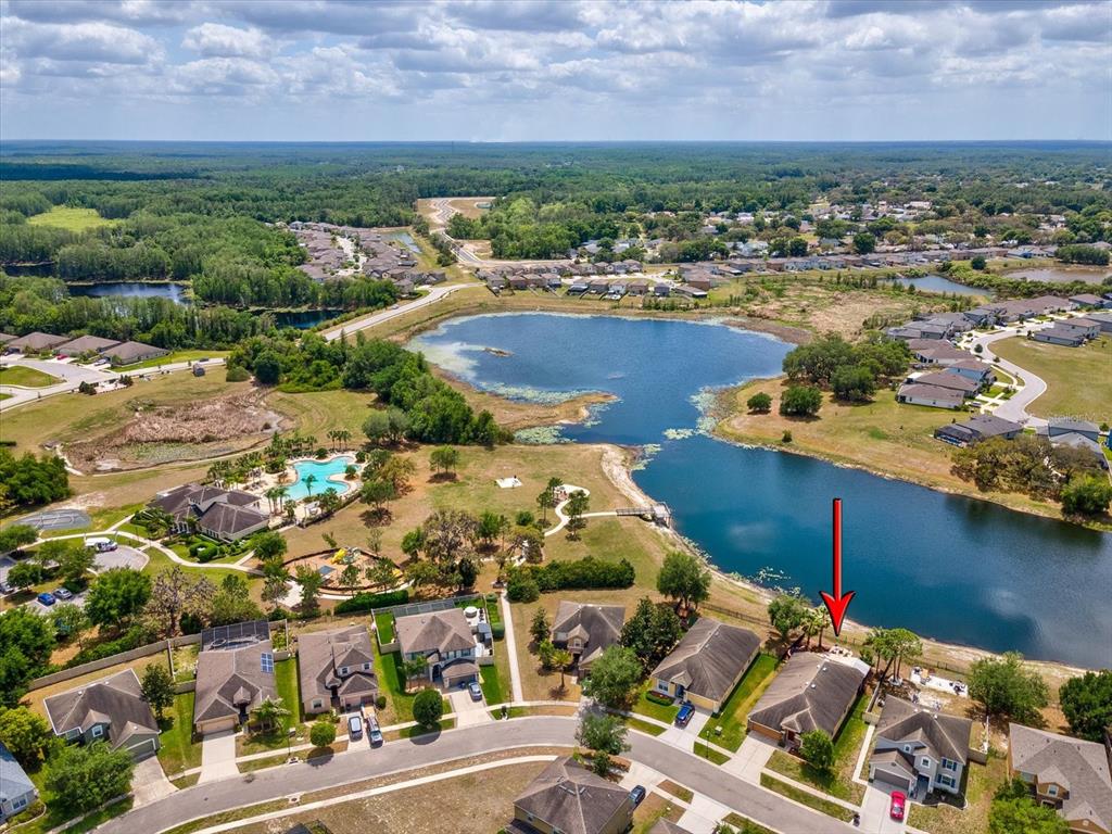 13744 Trull Way Hudson, FL 34669 - Photo 59 of 76