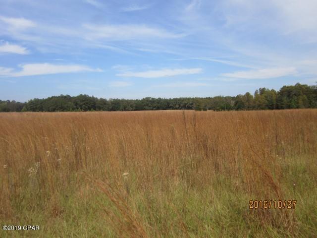 1840 Cane Mill Road, Unit LOT 3A Chipley, FL 32428 - Photo 2 of 4