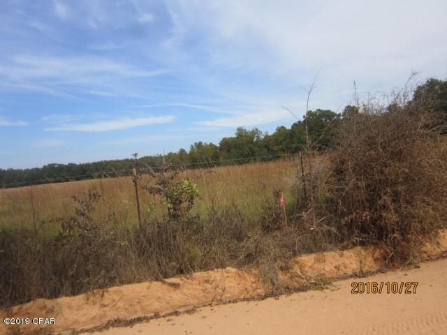 1840 Cane Mill Road, Unit LOT 3A Chipley, FL 32428 - Photo 3 of 4