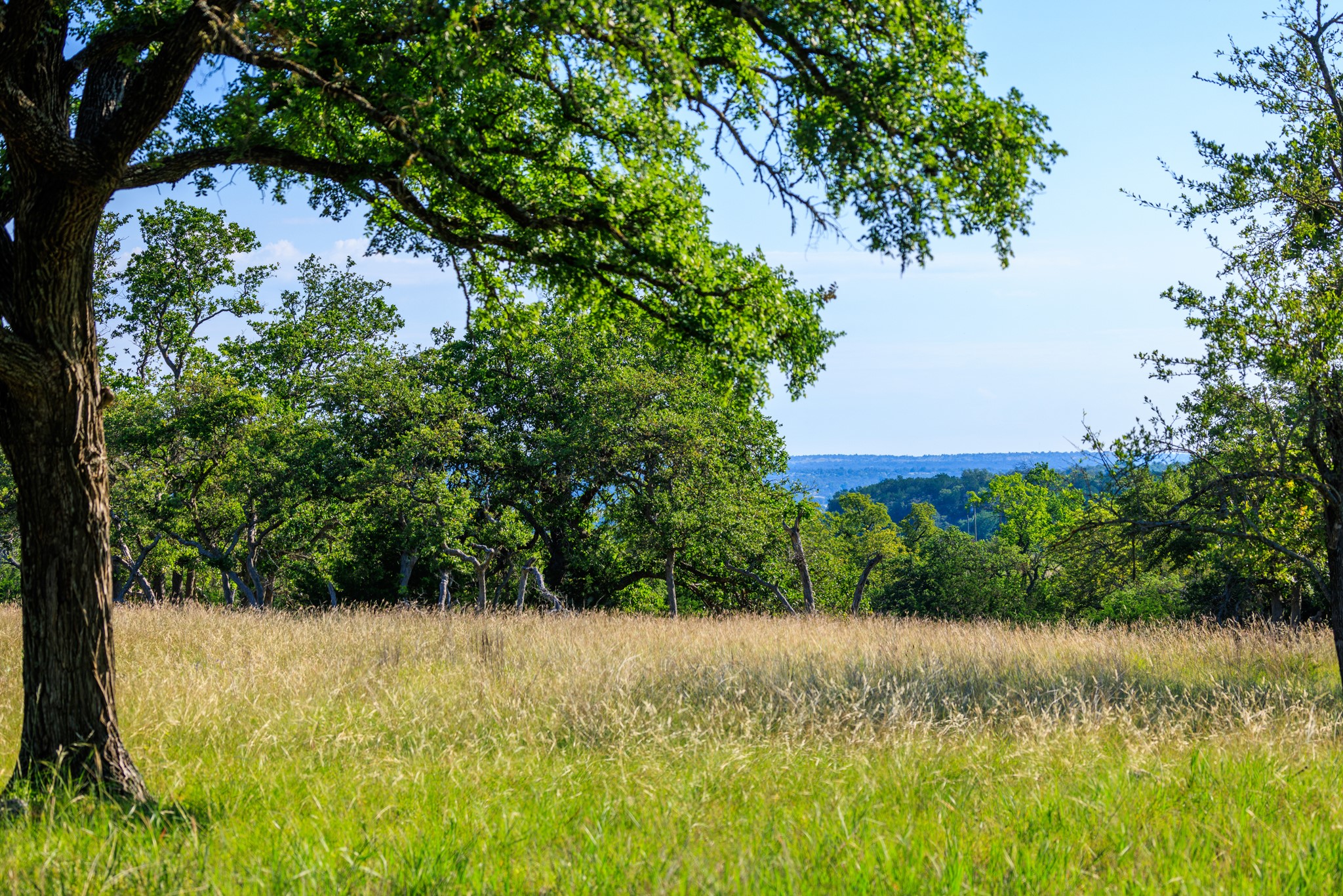 481 Living Water Ranch Road Harper, TX 78631 - Photo 5 of 30