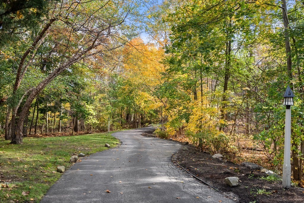 130 Summer Street Weston, MA 02493 - Photo 6 of 26 a view of a yard with an trees