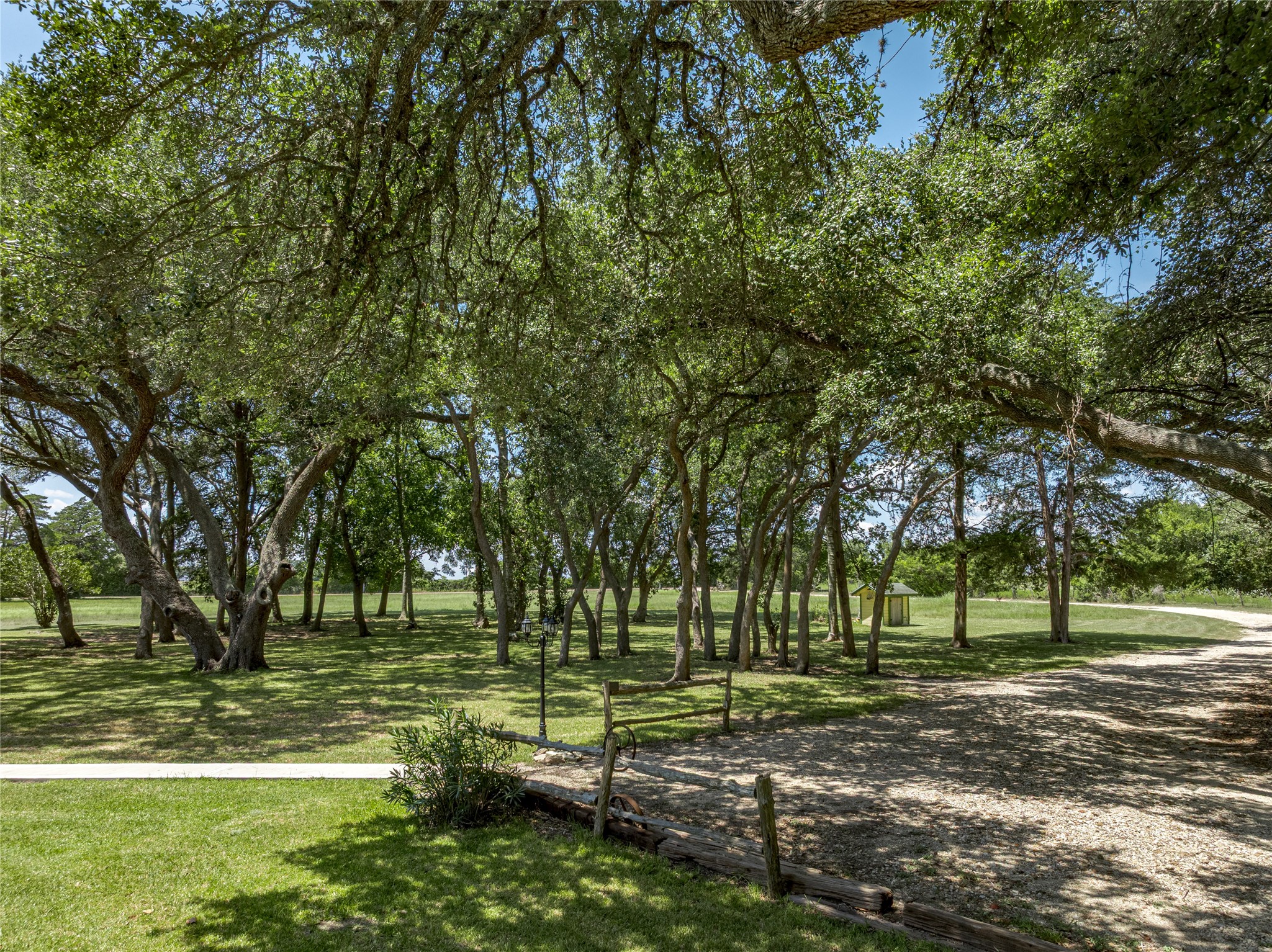 2020 South Knezek Road Flatonia, TX 78941 - Photo 21 of 25 a view of a park with tree s
