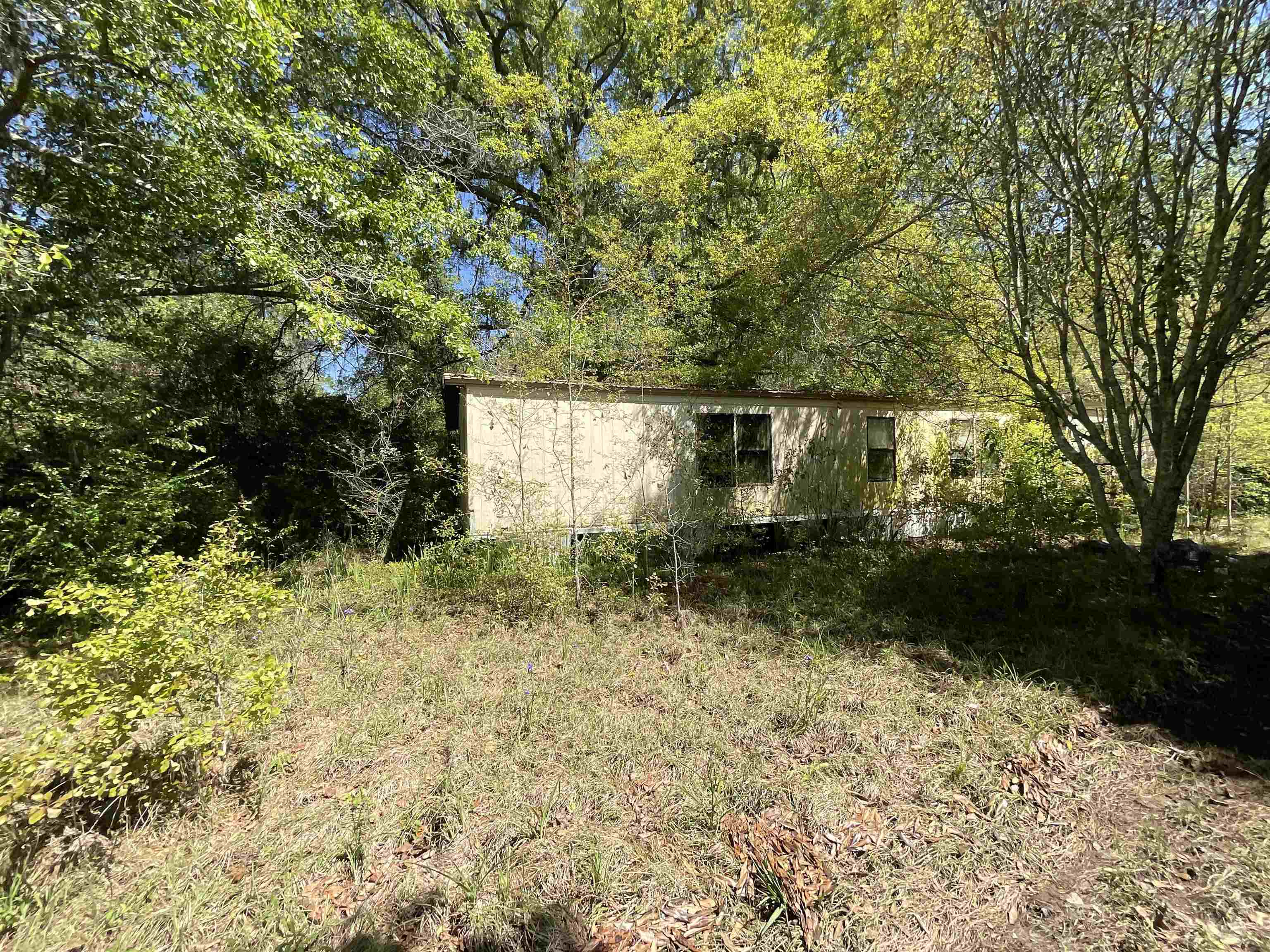 1975 Rook Road Ochlocknee, GA 31773 - Photo 29 of 42
