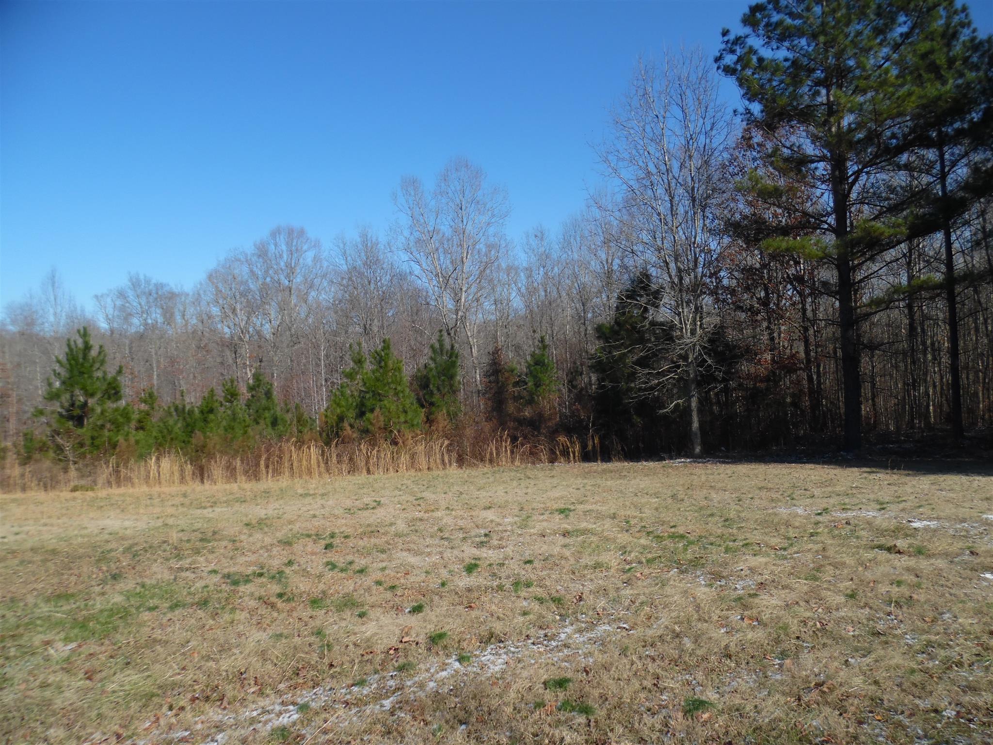 0 Frank Road Leoma, TN 38468 - Photo 15 of 18