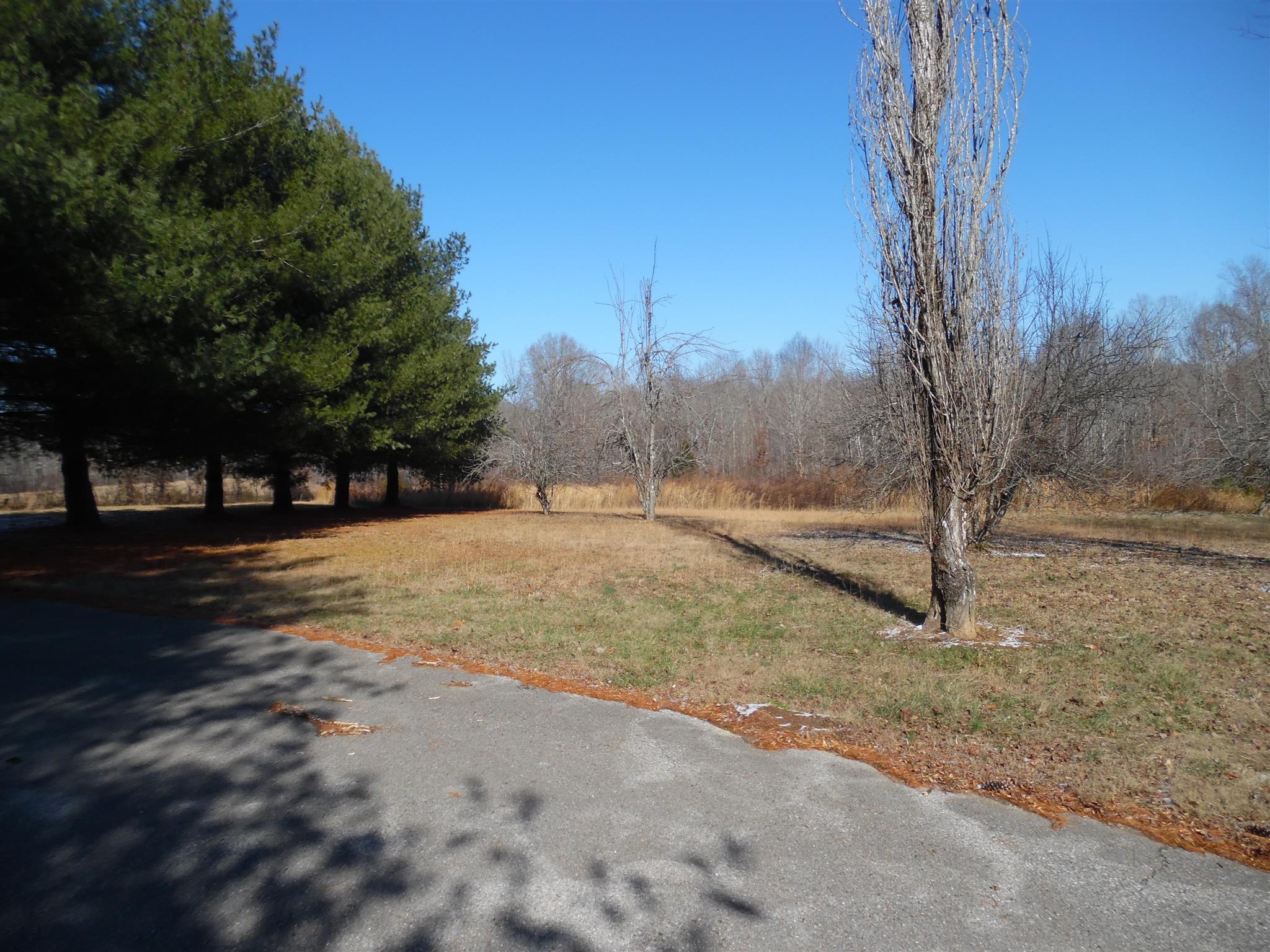 0 Frank Road Leoma, TN 38468 - Photo 17 of 18 a view of outdoor space with trees