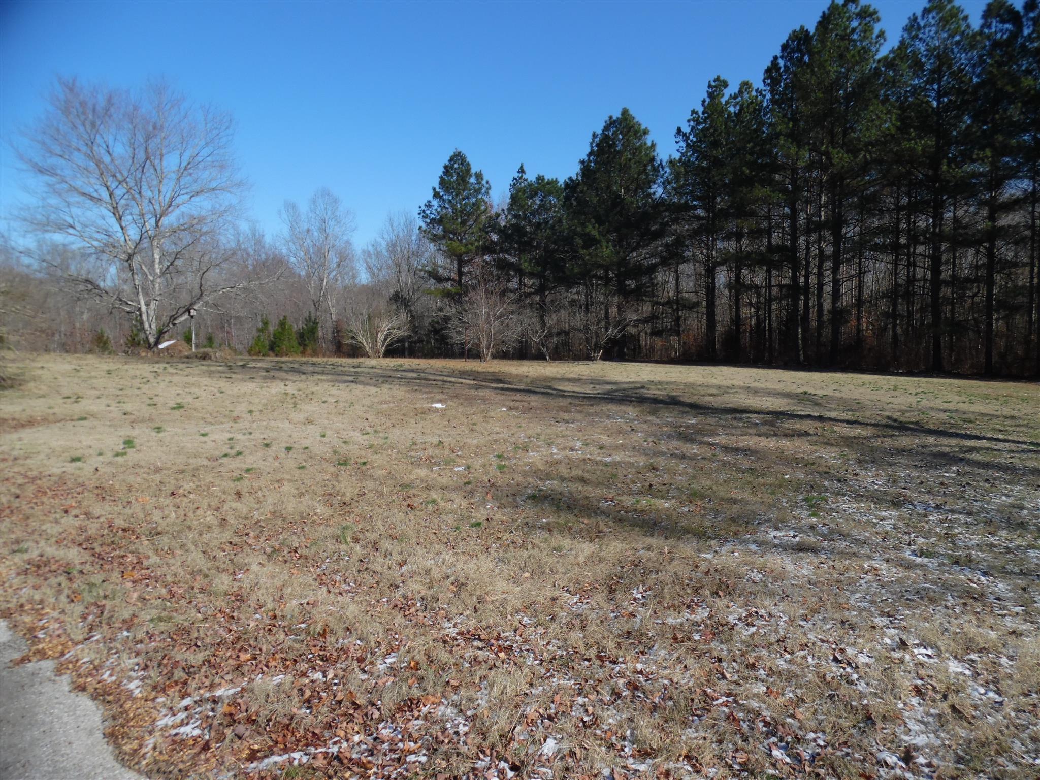 0 Frank Road Leoma, TN 38468 - Photo 18 of 18 a view of a yard with large trees