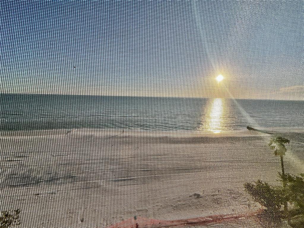 15462 Gulf Boulevard, Unit 501 Madeira Beach, FL 33708 - Photo 11 of 88